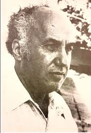 محمود علي الغول